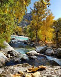 Фотоконкурс Золотая осень на Алтае 2019