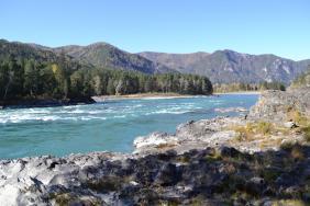 Фотоконкурс Золотая осень на Алтае 2019