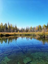 Фотоконкурс Золотая осень на Алтае 2020. Курайская степь. Дата: 13.09.2020