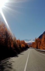 Фотоконкурс Золотая осень на Алтае 2022