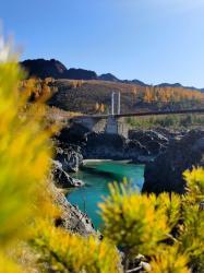 Фотоконкурс Золотая осень на Алтае 2022