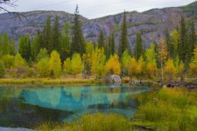 Фотоконкурс Золототая осень на Алтае 2018
