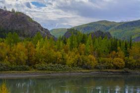 Фотоконкурс Золототая осень на Алтае 2018