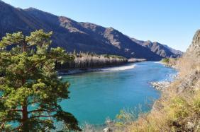 Фотоконкурс Золотая осень на Алтае 2021