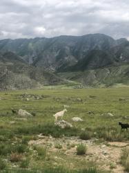 2.  Встретила бывшего. Онгудайский район Республика Алтай.