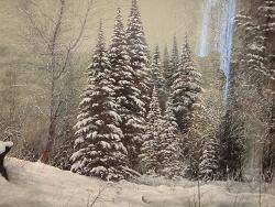 Новосибирск : Выставка Дарьи Головань