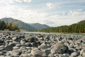 Фотоконкурс Золототая осень на Алтае 2018
