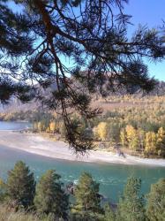 Фотоконкурс Золотая осень на Алтае 2019