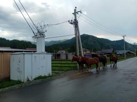 фото Демина Сергея Олеговича