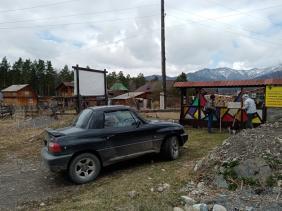 2. Алтайское лето короткое. Не каждая тачка вызревает.  Село Турбаза Катунь.