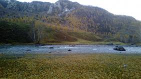 Фотоконкурс Золототая осень на Алтае 2018. Недалеко от скалы Белый Бом Алтай.