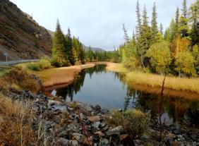 Фотоконкурс Золототая осень на Алтае 2018