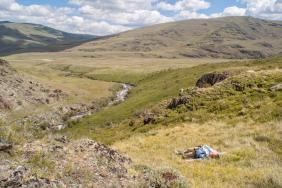 #Смехотурики2019. Автор Дмитриева Ирина. Кош-Агачский район  Алтай.