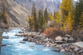 Фотоконкурс Золотая осень на Алтае 2020. Река Карагем. Дата 20.09.2020