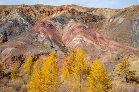 Фотоконкурс Золотая осень на Алтае 2020. Урочище Кызылчин 20.09.2020