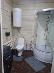 Частный дом в селе Аюла