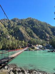 Фотоконкурс Золотая осень на Алтае 2022