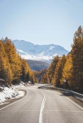 Фотоконкурс Золотая осень на Алтае 2021