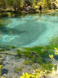Фотоконкурс Золотая осень на Алтае 2020.   Гейзеровое озеро. Дата: 02.09.2020