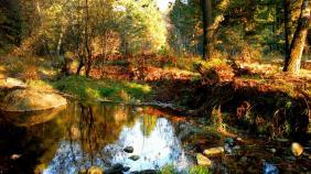 Фотоконкурс Золототая осень на Алтае 2018. Берег Чемала по дороге от Чемала в Уожан.