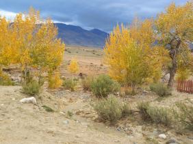 Фотоконкурс золотая осень на Алтае 2022