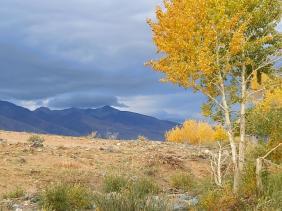 Фотоконкурс золотая осень на Алтае 2022