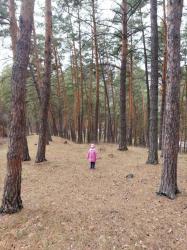 Мишка, ау, ты где? А то потерялась я. Чемал остров Патмос.