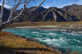 Фотоконкурс Золотая осень на Алтае 2020 Дорога от Ороктойского моста на Куюс. Дата: 18.10.2020