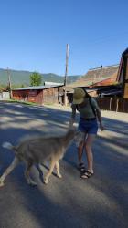 1. Каков козел, и у моих ног. Манжерок