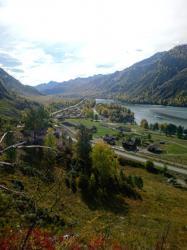 Фотоконкурс Золототая осень на Алтае 2018. Чемальский район, Алтай. 