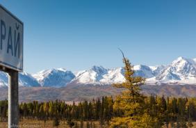 Фотоконкурс Золотая осень на Алтае 2019