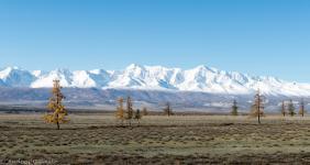 Фотоконкурс Золотая осень на Алтае 2019