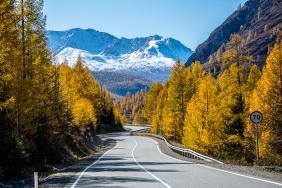 Фотоконкурс Золотая осень на Алтае 2019