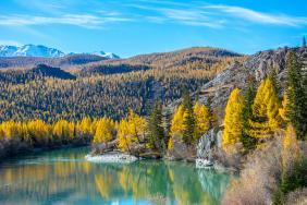 Фотоконкурс Золотая осень на Алтае 2019