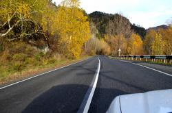 Горный Алтай : Золотая осень на Алтае : В районе села Усть-Муны