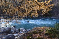 Горный Алтай : Золотая осень на Алтае : Бирюзовая Чуя