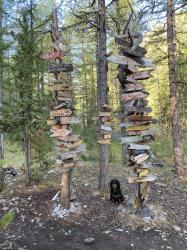 2. «Извините, как пройти в библиотеку? А то грамоте ещё не обучен» (Ущелье Актру)