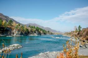 Фотоконкурс Золототая осень на Алтае 2018