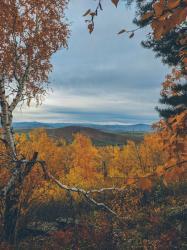 Алтай. Вид с горы Бобырган 06.10.2024