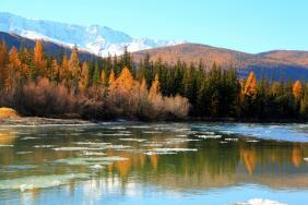 Фотоконкурс Золототая осень на Алтае 2018. Берег реки Чуя в районе села Чаган-Узун
