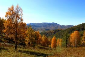 Фотоконкурс Золотая осень на Алтае 2020. Перевал.с Анос Чемальский р-он. Дата: 21.09.2020