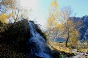 Фотоконкурс Золотая осень на Алтае 2020. Село Еланда  «В Лучах осеннего солнца». Дата: 06.10.18 
