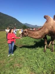 1. Ты - не ты, когда голоден! Село Узнезя Лохматая ферма