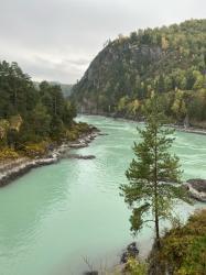 Фотоконкурс Золотая осень на Алтае 2022