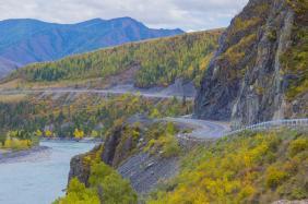 Фотоконкурс Золототая осень на Алтае 2018