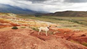 Фотоконкурс Золотая осень на Алтае 2020 Алтайский Марс в начале осени. Дата: 03.09.2020