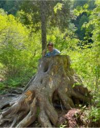 1. Бабка Ежка Окрестности Телецкого озера