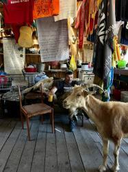 1. Михалыч, опять в соцсетях завис? База «У Михалыча» Улаганские озера.