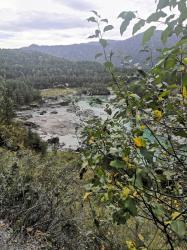 Фотоконкурс Золотая осень на Алтае 2021