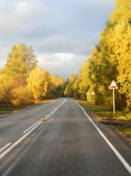 Фотоконкурс Золотая осень на Алтае 2021